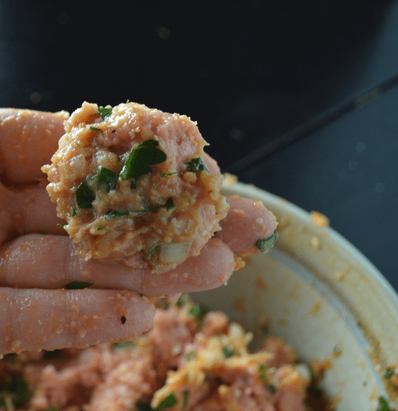 Turkey Meatballs 3