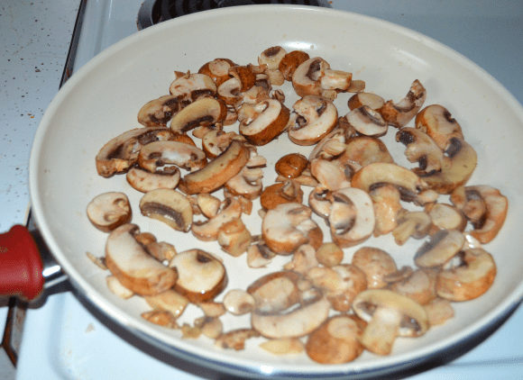 Aviary Photo_130783749241967402