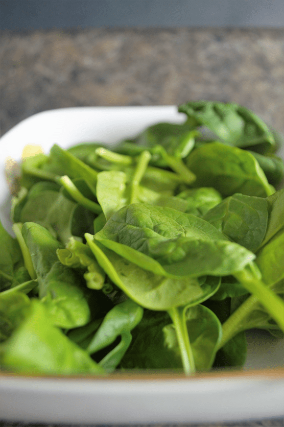 carrot quinoa salad 8